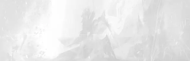 Guild Wars 2®