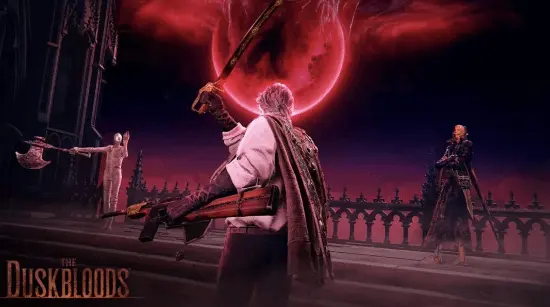 Duskbloods test server lottery results out, no console winners spark debate