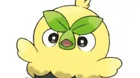 "Pokémon: Wind/Wave" Grass-Type Starter Looks Like Duolingo Owl—Official Account Comes to Claim Kinship