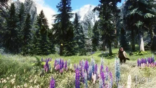 Has Development on *The Elder Scrolls 6* Accelerated? What Bethesda Is Really Betting On Is Itself