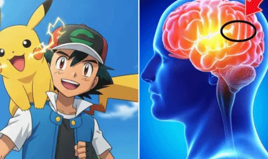 New Stanford Discovery! Playing Pokémon in Childhood Actually Develops Exclusive Recognition Area in the Brain