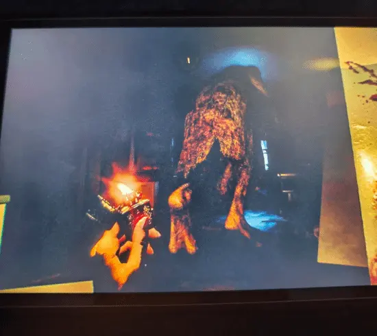 Spending 500 euros to play “Breath of the Wild” but it backfires – can you tolerate the Switch 2’s screen?