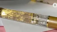 “Parasite Pen” Goes Viral in the U.S. — Has This Wave of Morbid Aesthetics Won?