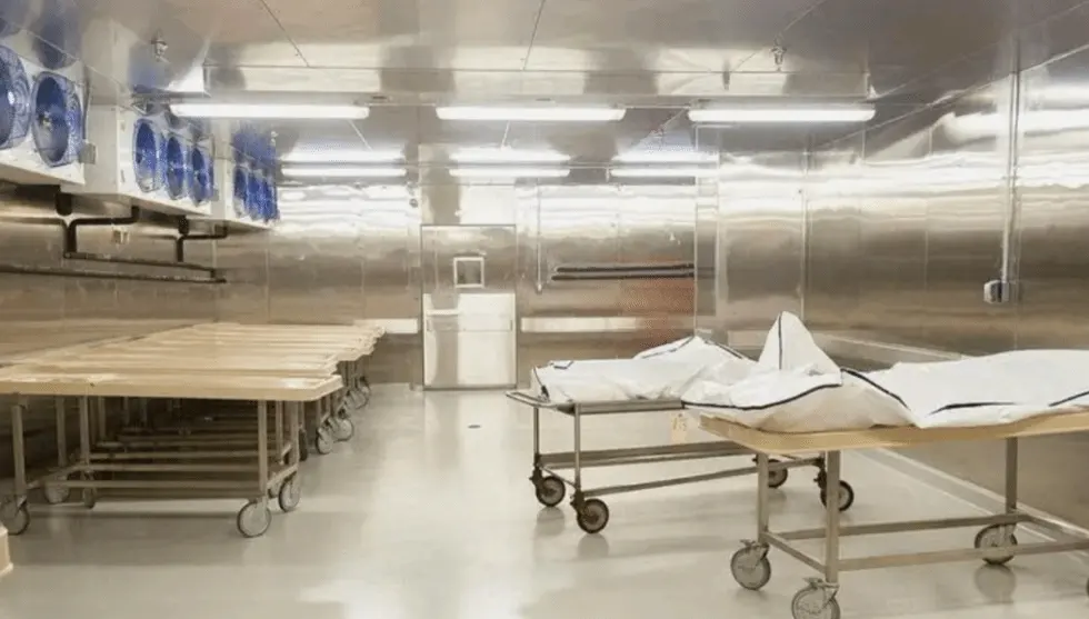 Why Did the Morgue Recruitment Outside of *Two Point Hospital* Spark Such a Fierce Debate?