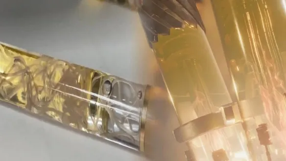 Has *Resident Evil* come to life? Japan’s parasitic pen has gone viral