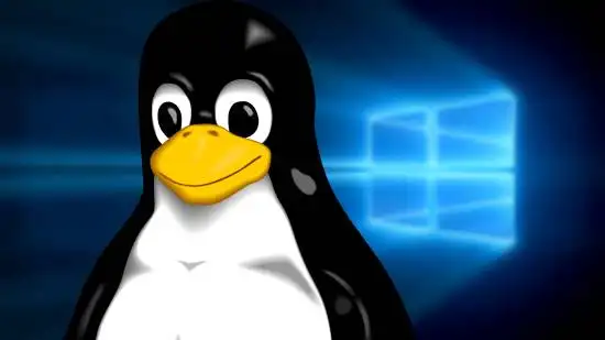 A Massive Migration of 2.5 Million People! Can *Linux* Really Replace Windows?