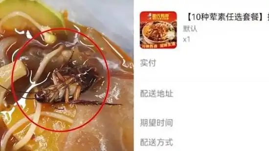An *It Takes Two*-Style Twist? Finding a Cockroach in Malatang Gets Even More Horrifying