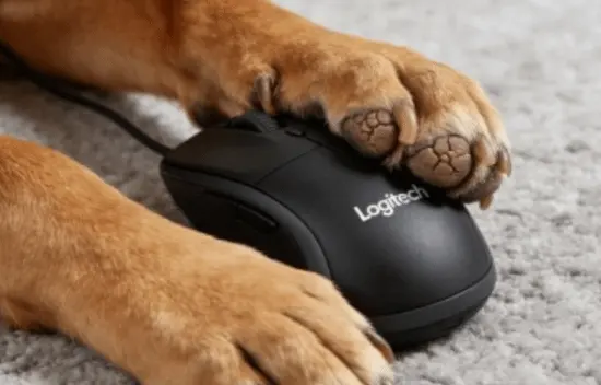 Logitech apologizes, then deletes the statement — players baffled by the move