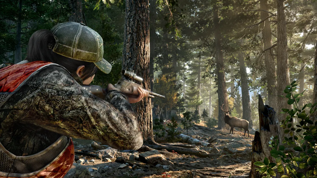 Hope County Montana panorama